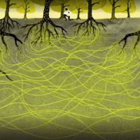 woodwidewebstories.com