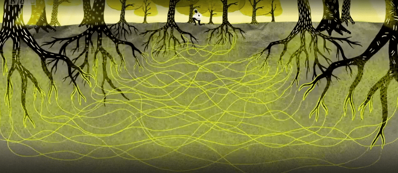 Screen Shot 2018-10-08 at 10.58.42