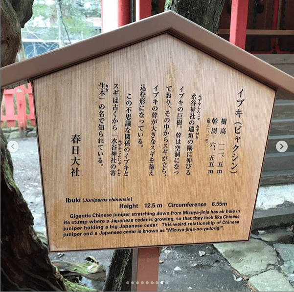 Screen Shot 2019-04-10 at 18.24.57