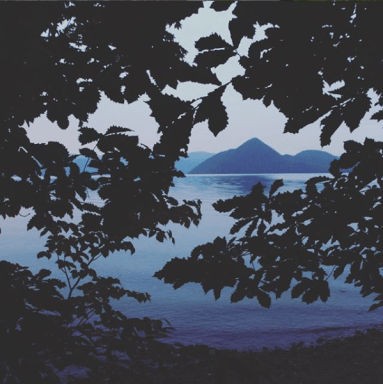 Screen Shot 2019-07-16 at 9.53.15