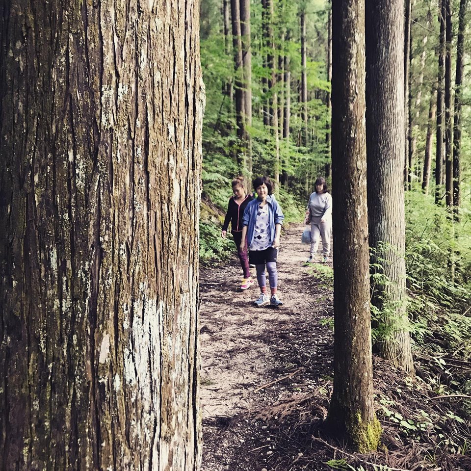 Wood weaving & forest bathing in Nagano, Japan – Stories from the Wood ...