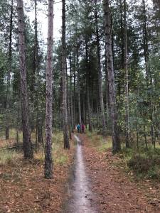 72714769_3095348540535124_5168865124940775424_n