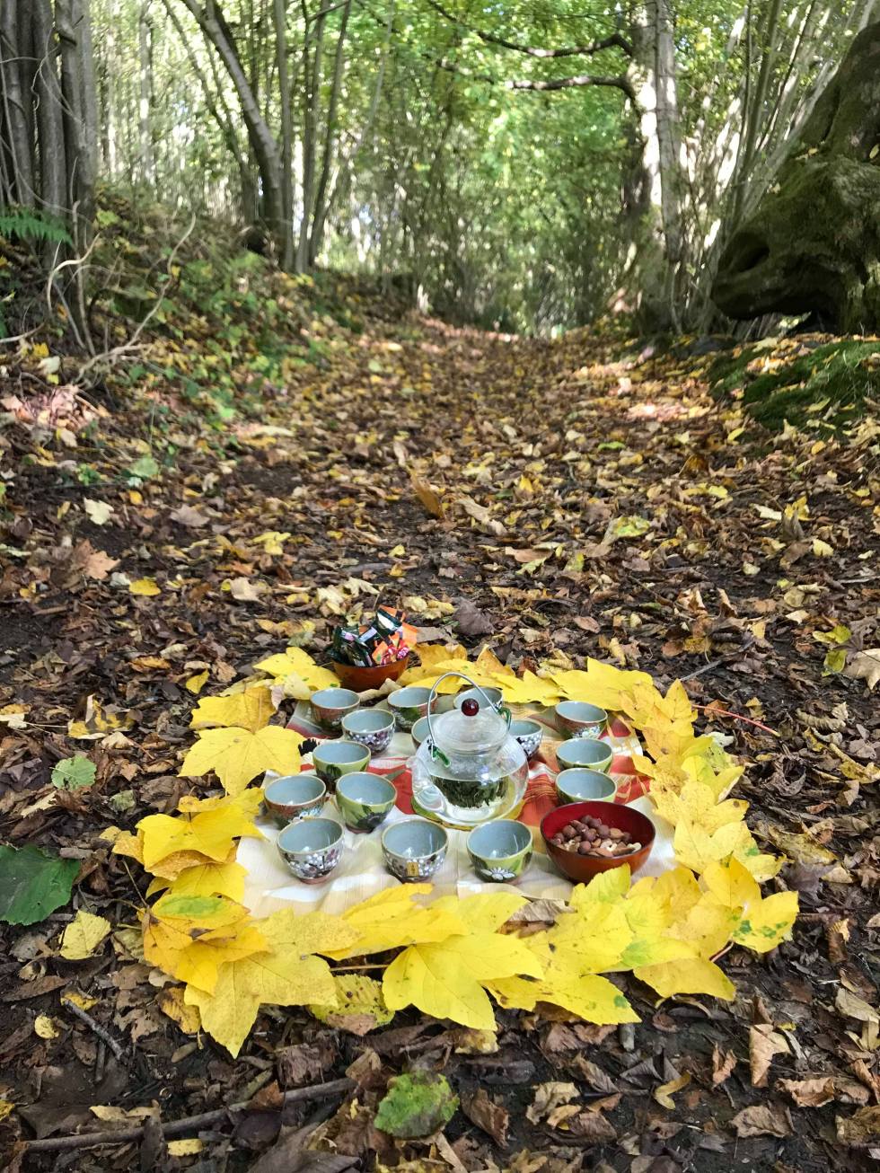 72818397_1376783842476907_7452047921060511744_n