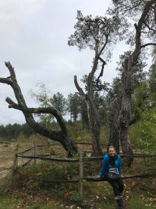 74340805_2679244342115176_4241357101894467584_n