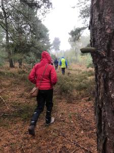 75262091_455574915310468_3618483451226750976_n