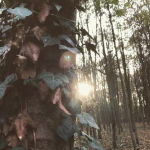 75316042_479751222640142_8423262673772216320_n