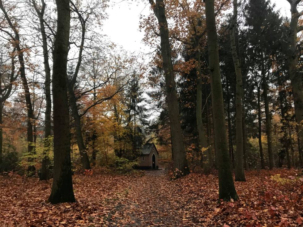 76941517_572760293295598_3660718351434383360_n