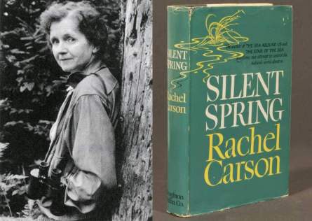 rachel carson