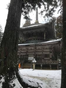 82332762_2501192933483700_4391735348720304128_n (1)