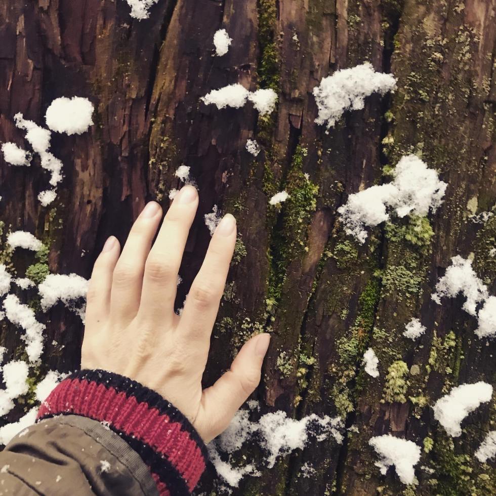 83062188_2529781440484438_4105236754921947136_n