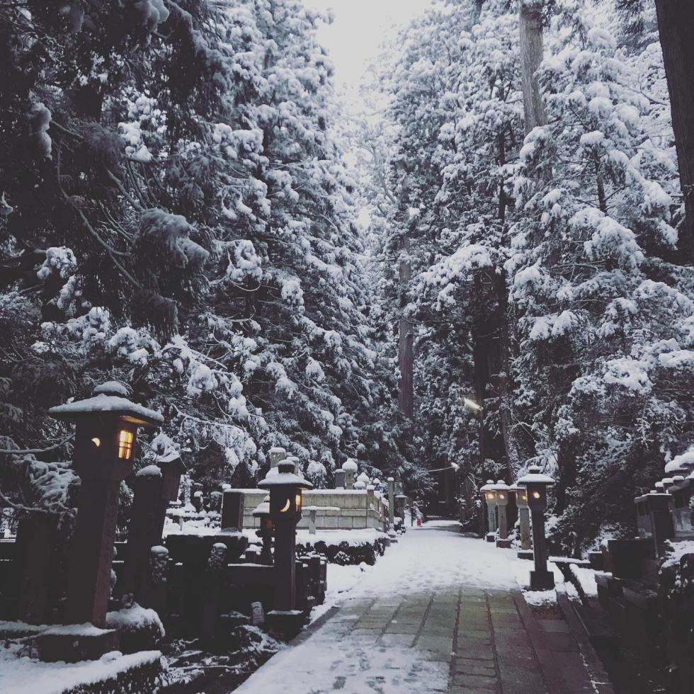 83104297_685355518665688_8993597381077368832_n