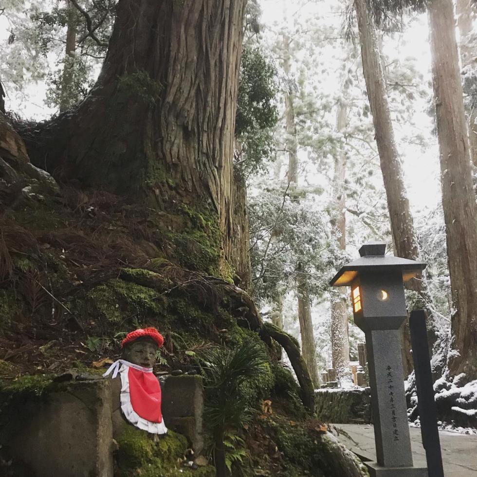 83825298_479661046313546_9087336322212823040_n