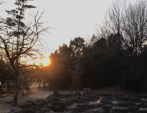 Screen Shot 2020-02-03 at 10.11.18