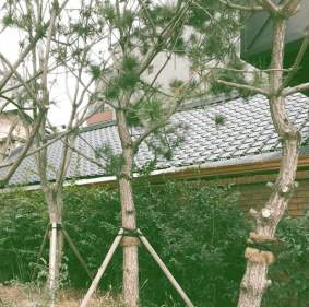 Screen Shot 2020-02-10 at 18.12.28