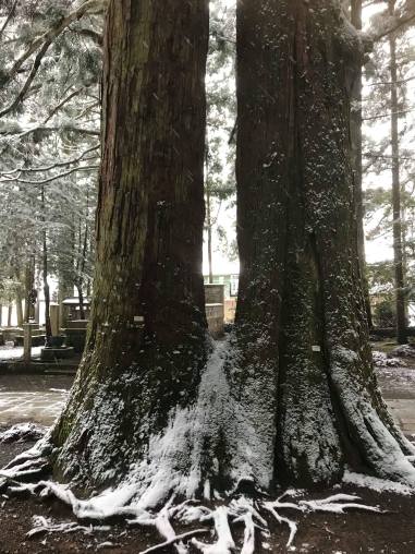 82240467_694562754281839_4177881926255771648_n