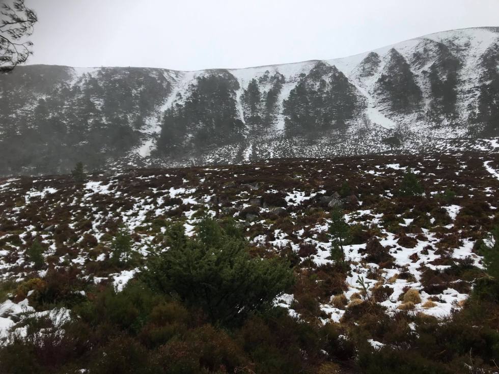 89762269_516302079029299_3508894779393966080_n