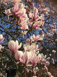 91230576_647762002461748_4426570896450256896_n