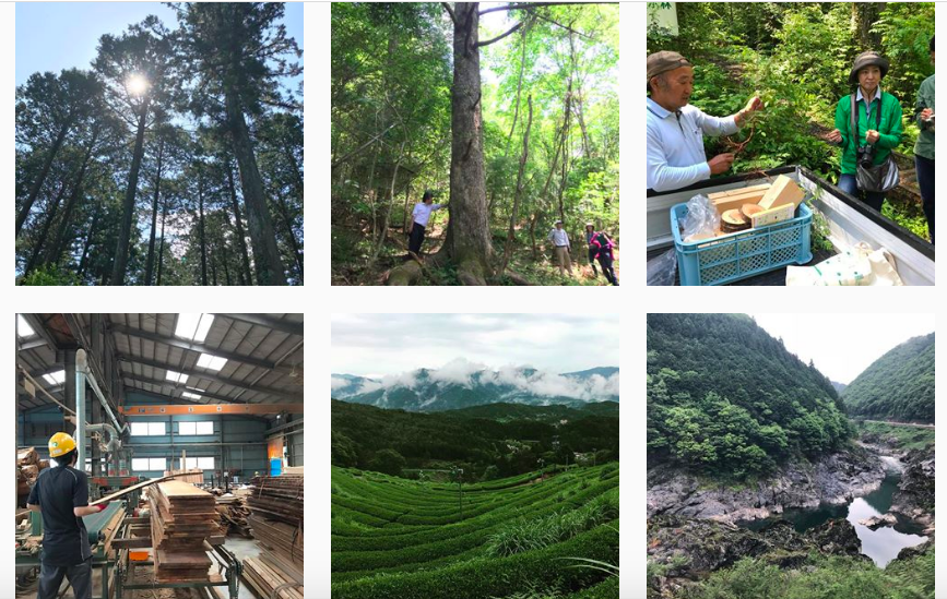 Screen Shot 2020-03-30 at 13.00.10