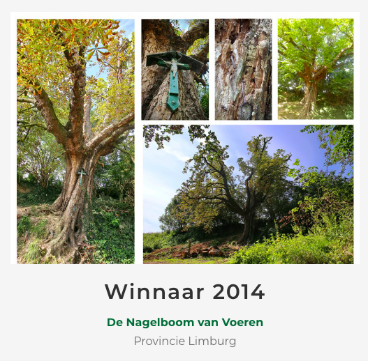 Screen Shot 2020-05-16 at 13.08.14