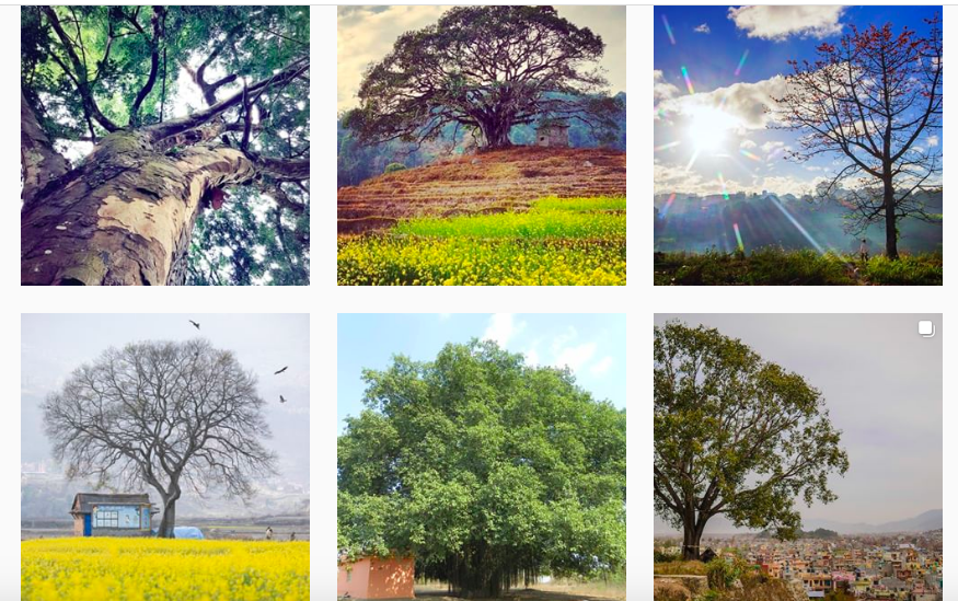 Screen Shot 2020-05-16 at 14.09.58