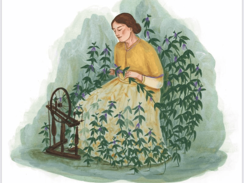 The Nettlespinner – my ecofeminist retelling of a Flemish fairytale got published