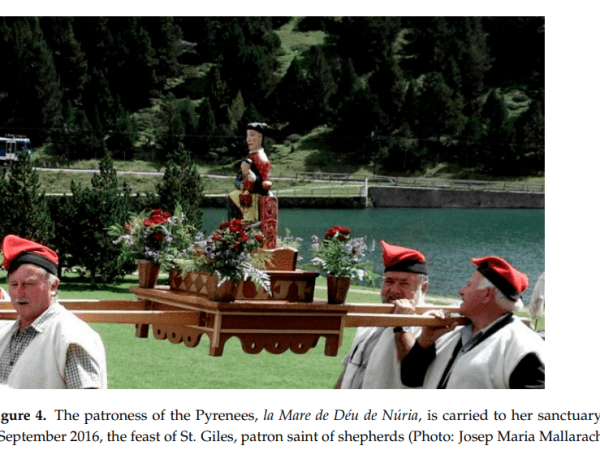 Sacred trees, Mystic Caves and Holy Wells in rural Spain – or to-visit-sites in your next Spain trip