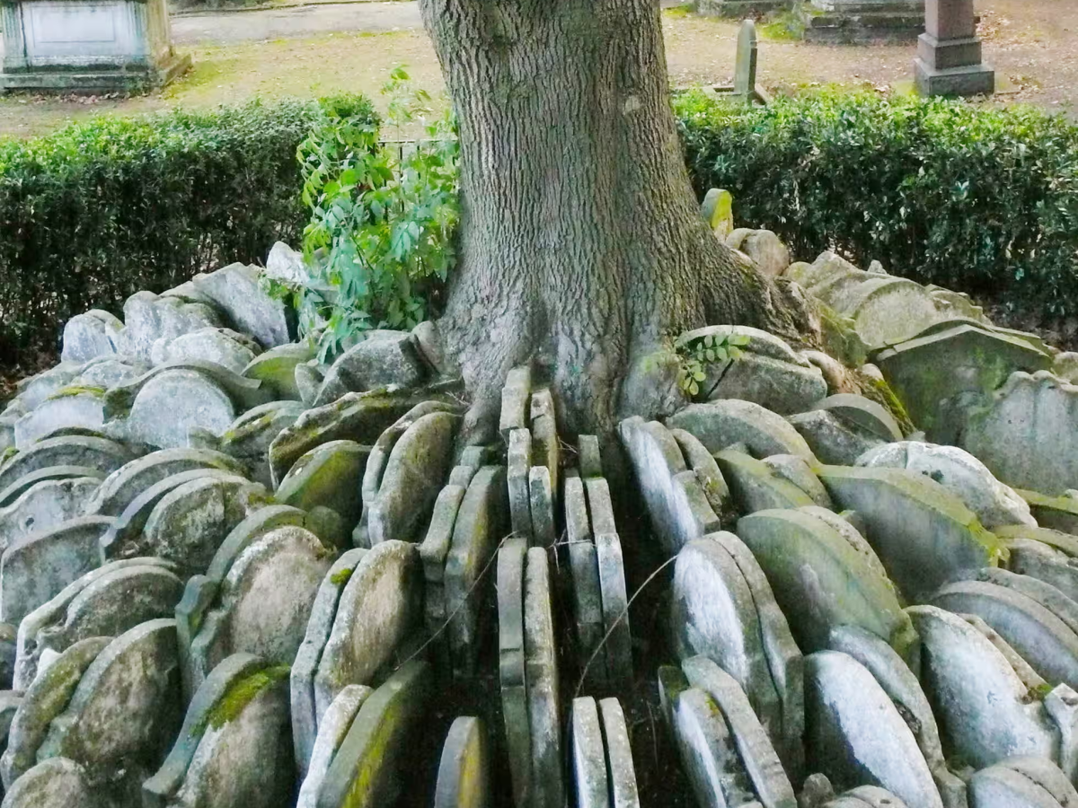 Flowing with Eglė: Ash, Blood, Passover, Sacrifice