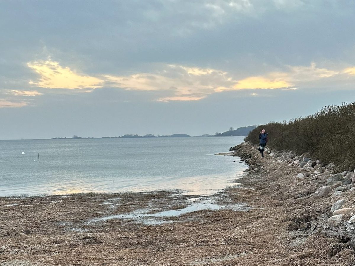 Flowing with Eglė: Encountering the Oak Prince in a Danish Castle Estate