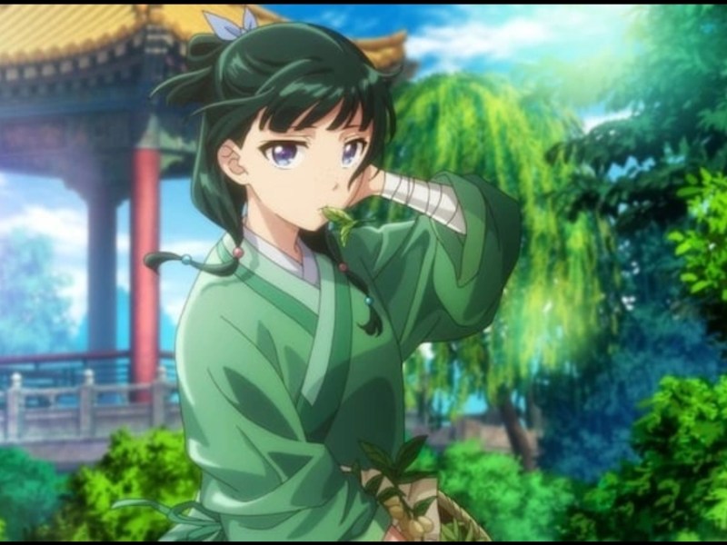 The Apothecary diaries – an ecofeminist reading