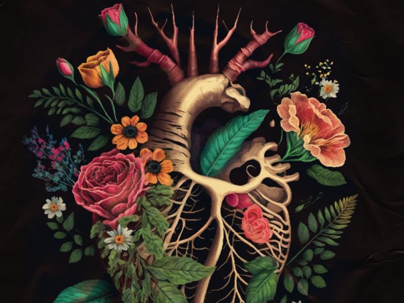 An Iberian EcoMythology – book review of Sofia Batalha’s The Sanctuary 