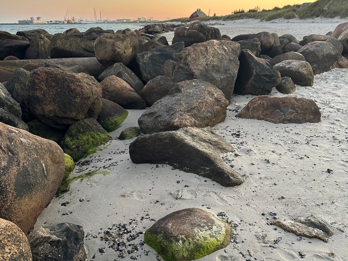 Flowing with Eglė: From desexualised wastelands to   hydrosexuality in Skagen