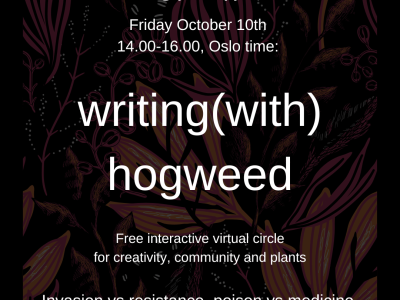 Writing(with) Hogweed on Friday 10 October 2025