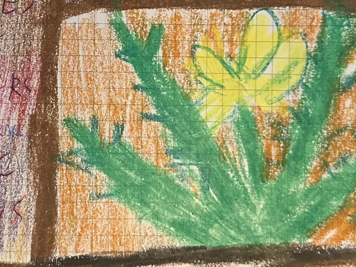 Writing with Place and Mythopoetic Plants: Marsh Reed and the Medusa Head Cactus