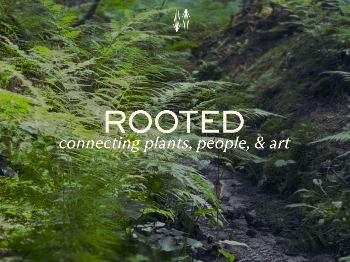 You are invited to join a writing(with)plants workshop during the Rooted Festival in Aarhus (13-14 June 2026), and (re)enchant Denmark in June.